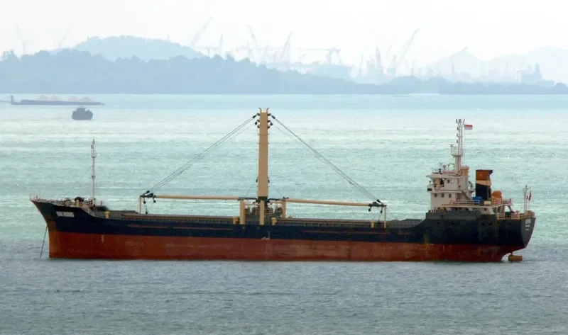 LEANN Bulk Carrier IMO 9548457 photo 2