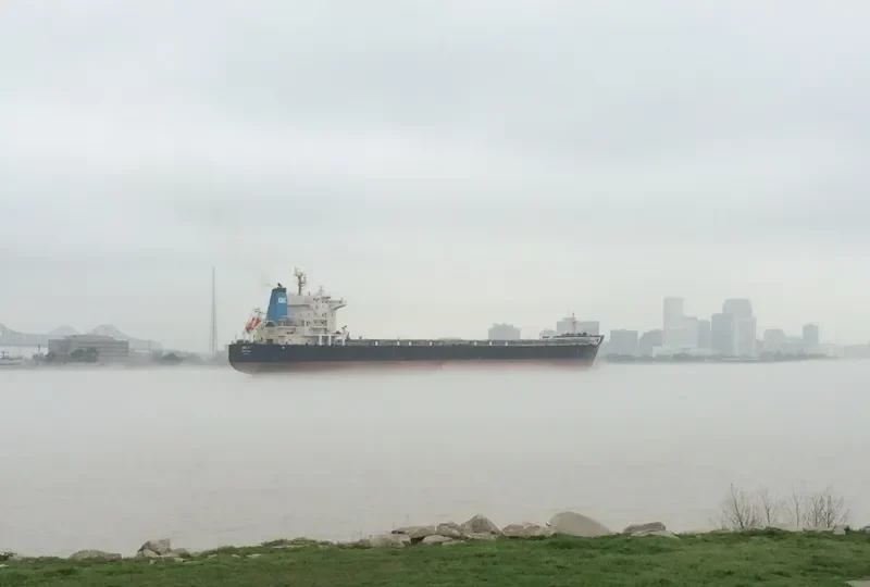 HONG YU Bulk Carrier IMO 9548548 photo 3