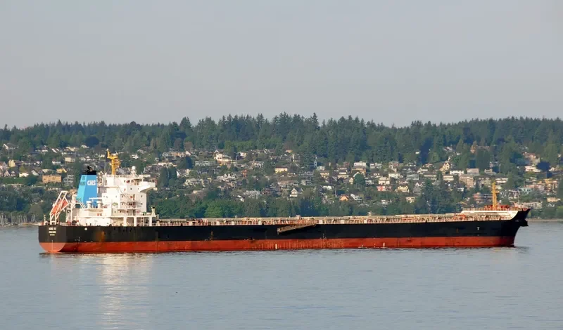 HONG YU Bulk Carrier IMO 9548548 photo 6