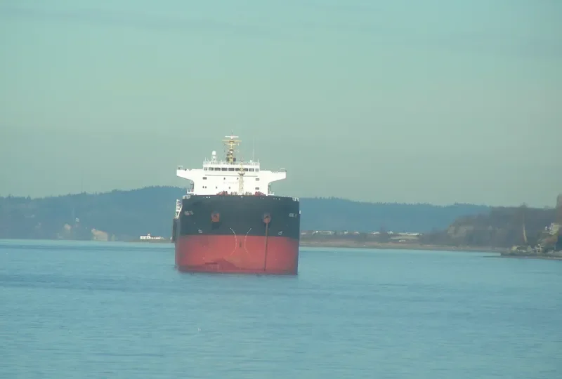 HONG YU Bulk Carrier IMO 9548548 photo 8