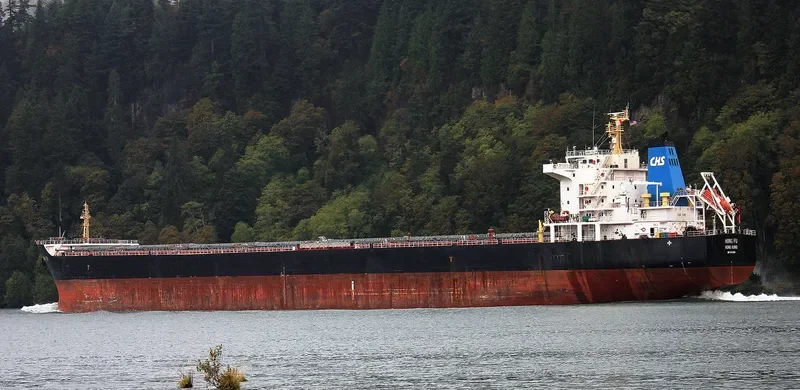 HONG FU Bulk Carrier IMO 9548550 photo 3