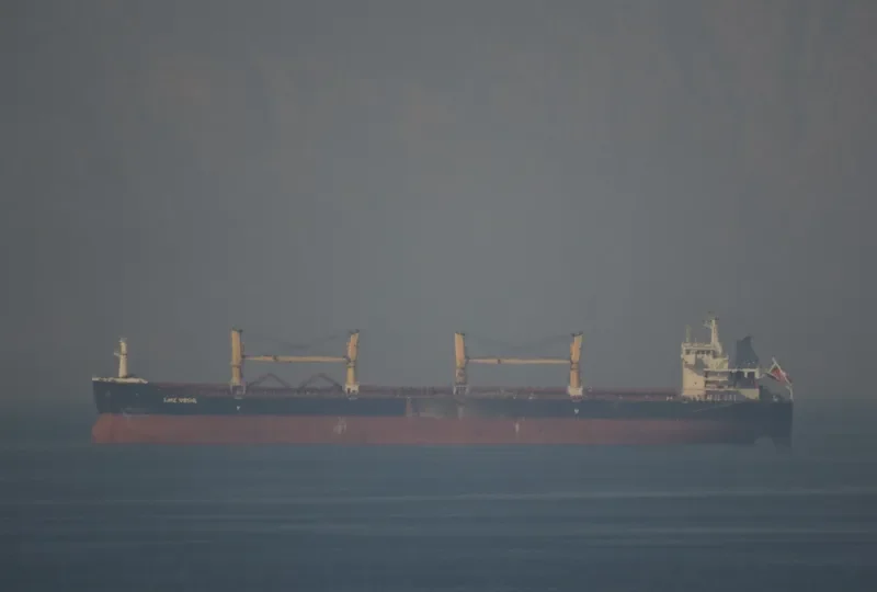 LMZ VEGA Bulk Carrier IMO 9548574