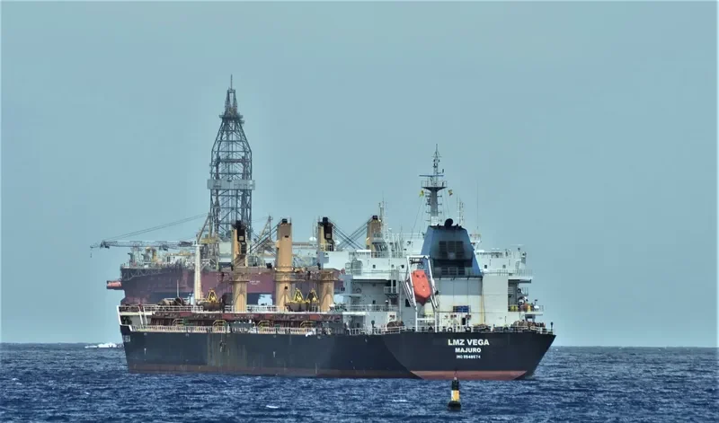 LMZ VEGA Bulk Carrier IMO 9548574 photo 2
