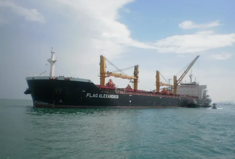 LMZ VEGA Bulk Carrier IMO 9548574 photo 7