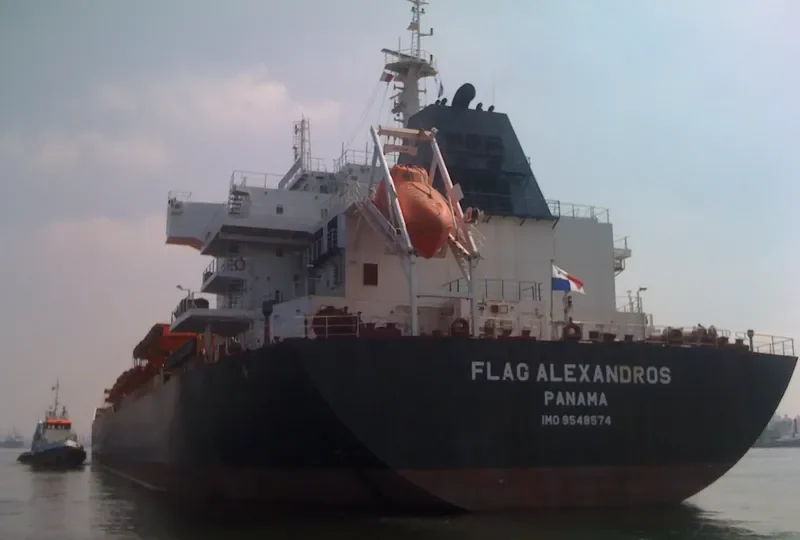 LMZ VEGA Bulk Carrier IMO 9548574 photo 9