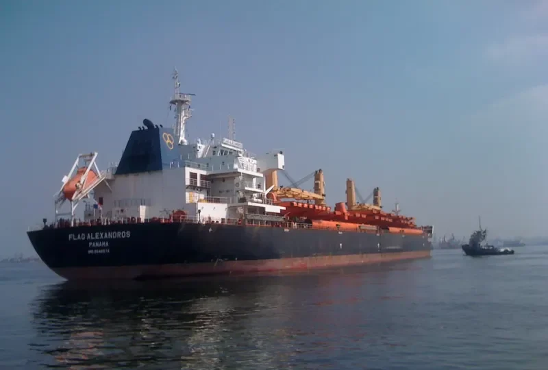 LMZ VEGA Bulk Carrier IMO 9548574 photo 10