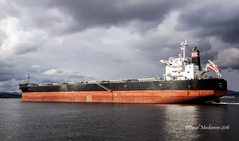 METEOR Bulk Carrier IMO 9548586 photo 2