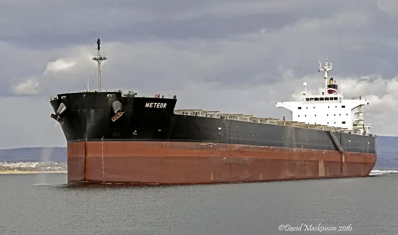 METEOR Bulk Carrier IMO 9548586 photo 3