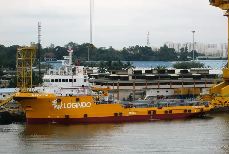 LOGINDO STOUT Offshore Vessel IMO 9548639
