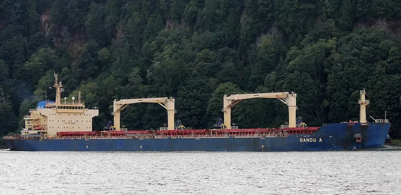 FROSSO K Bulk Carrier IMO 9548653