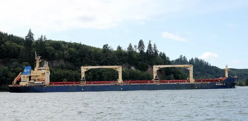FROSSO K Bulk Carrier IMO 9548653 photo 4