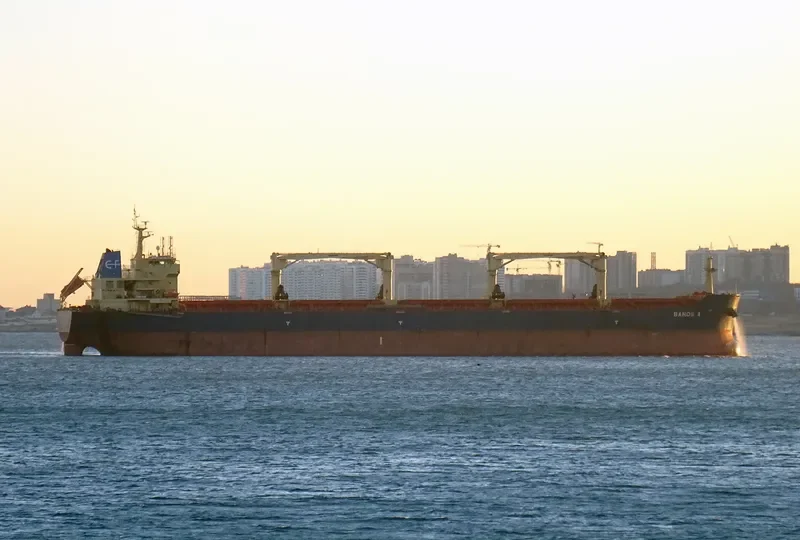FROSSO K Bulk Carrier IMO 9548653 photo 6