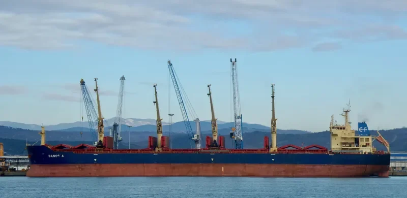 FROSSO K Bulk Carrier IMO 9548653 photo 10