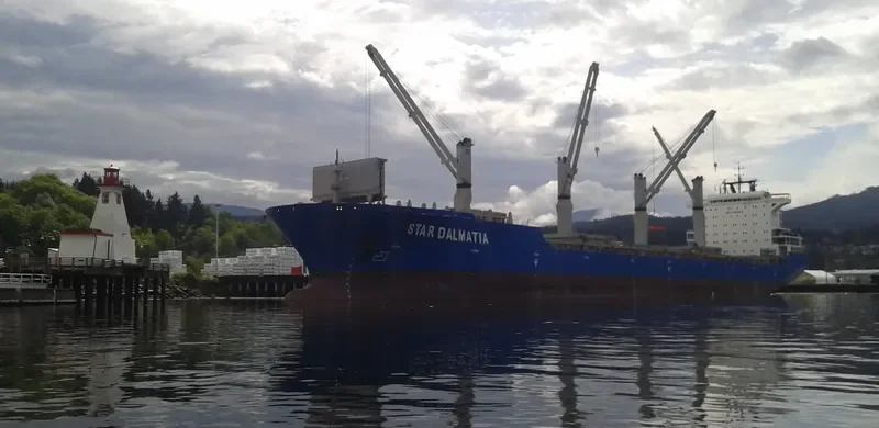 STAR DALMATIA General Cargo IMO 9548835 photo 6