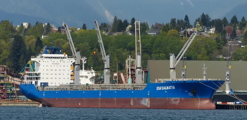STAR DALMATIA General Cargo IMO 9548835 photo 7