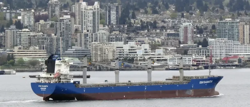 STAR DALMATIA General Cargo IMO 9548835 photo 8