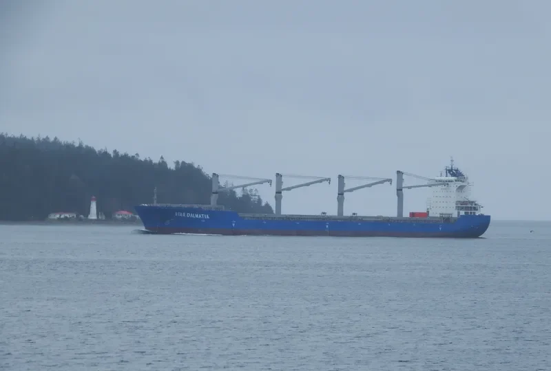 STAR DALMATIA General Cargo IMO 9548835 photo 9