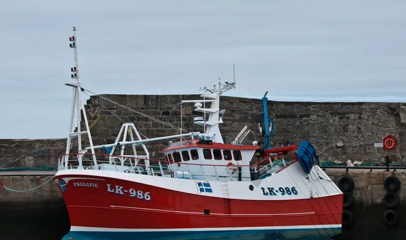 PROLIFIC General Cargo IMO 9548859 photo 2
