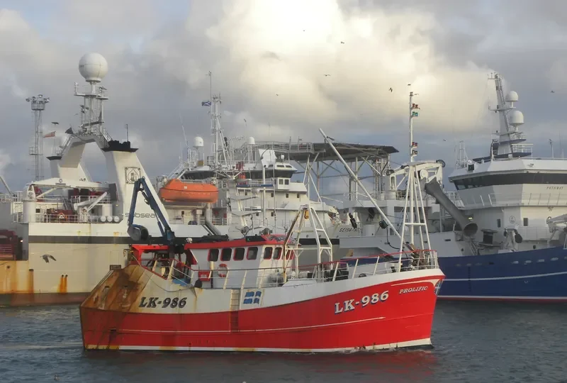 PROLIFIC General Cargo IMO 9548859 photo 8