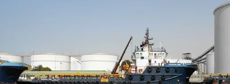 SELBI Bulk Carrier IMO 9549102