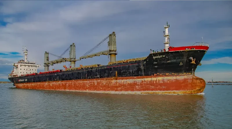 SAADET C Bulk Carrier IMO 9549267 photo 3