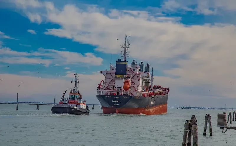 SAADET C Bulk Carrier IMO 9549267 photo 4