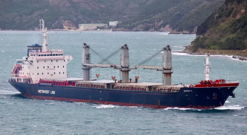 SAADET C Bulk Carrier IMO 9549267 photo 9