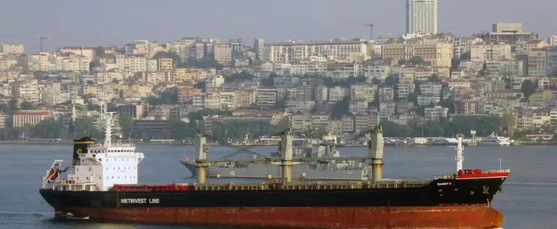 SAADET C Bulk Carrier IMO 9549267 photo 10