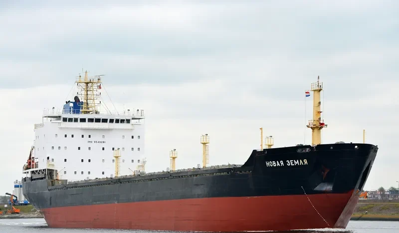 NOVAYA ZEMLYA Bulk Carrier IMO 9549281 photo 2