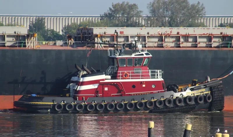 REID MCALLISTER General Cargo IMO 9549530 photo 3