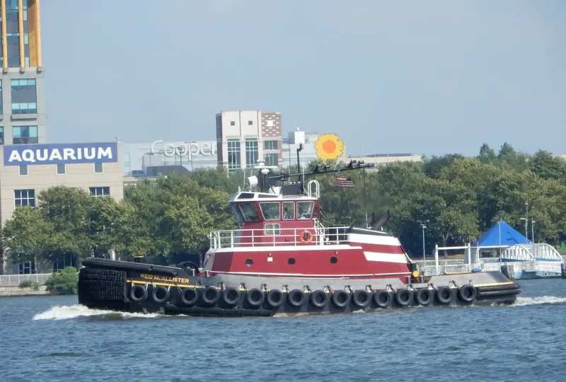 REID MCALLISTER General Cargo IMO 9549530 photo 6
