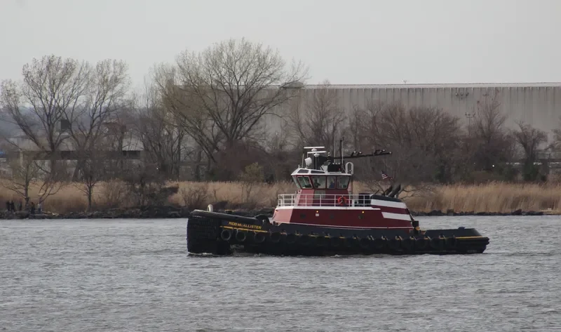 REID MCALLISTER General Cargo IMO 9549530 photo 9