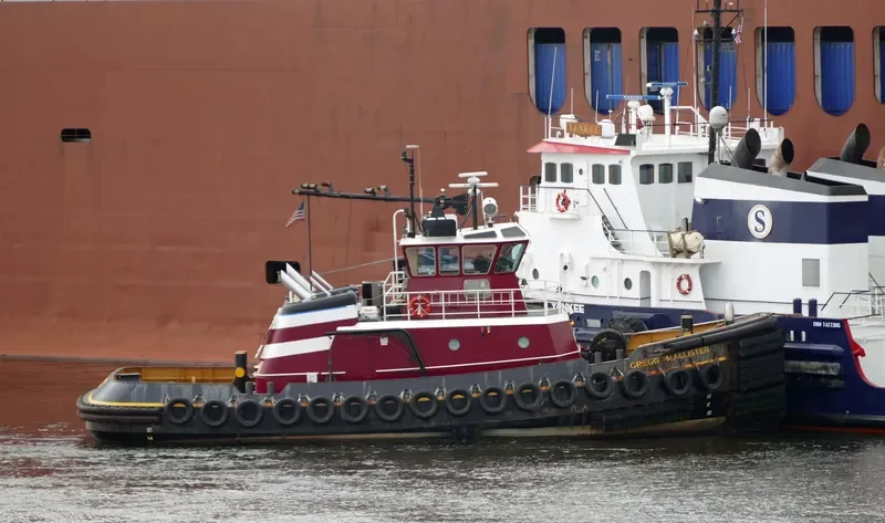 GREGG MCALLISTER General Cargo IMO 9549542