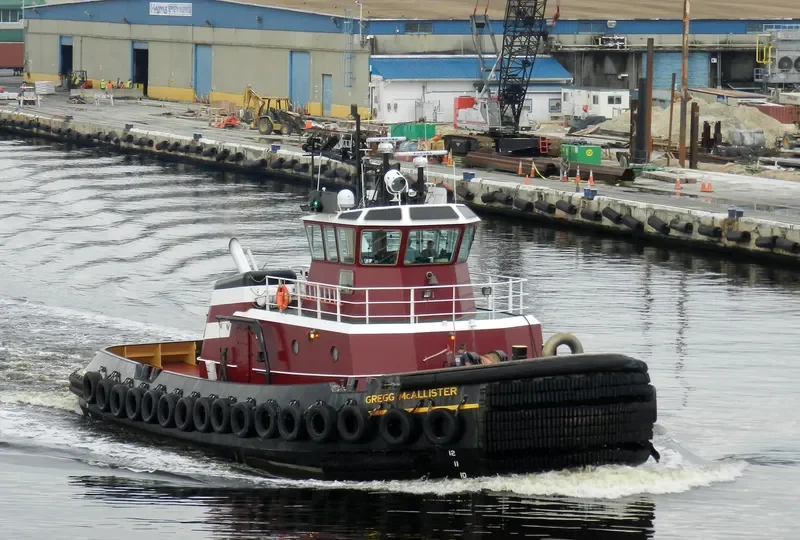 GREGG MCALLISTER General Cargo IMO 9549542 photo 3