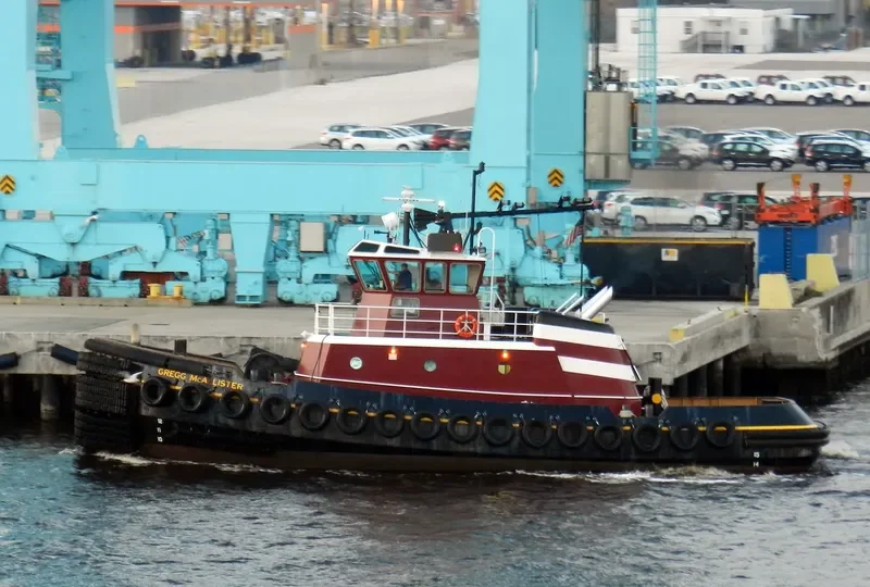 GREGG MCALLISTER General Cargo IMO 9549542 photo 5