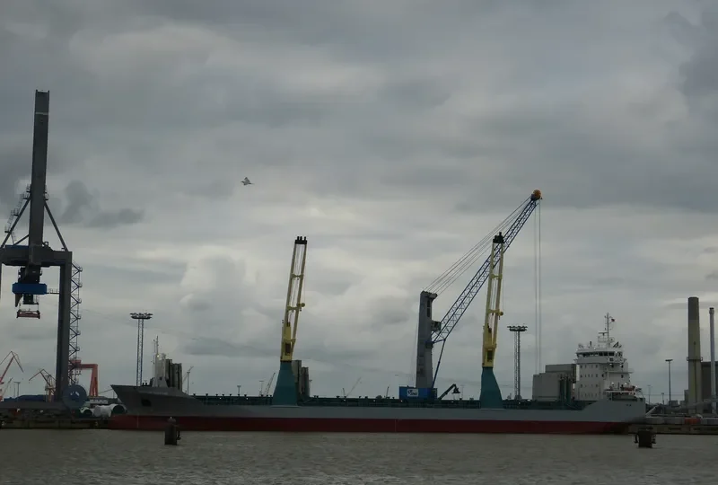 STELLAR MAESTRO General Cargo IMO 9549566 photo 2