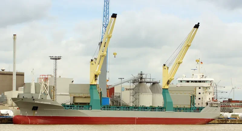 STELLAR MAESTRO General Cargo IMO 9549566 photo 4