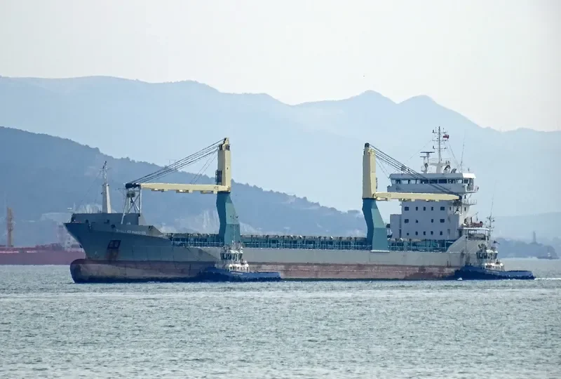STELLAR MAESTRO General Cargo IMO 9549566 photo 7