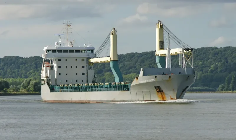 STELLAR MAESTRO General Cargo IMO 9549566 photo 9