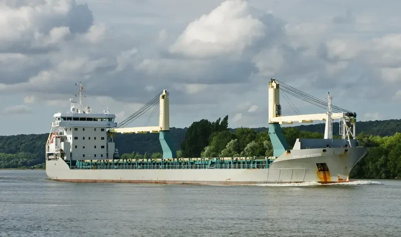 STELLAR MAESTRO General Cargo IMO 9549566 photo 10