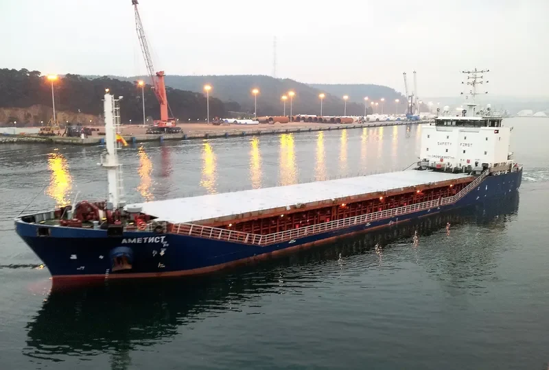 AMETHYST General Cargo IMO 9549607 photo 8