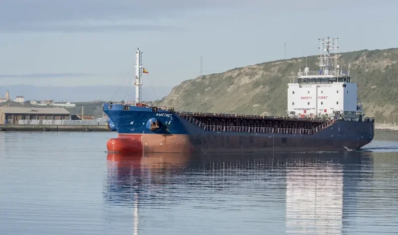 AMETHYST General Cargo IMO 9549607 photo 9
