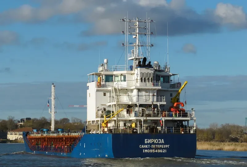 BIRYUZA General Cargo IMO 9549621