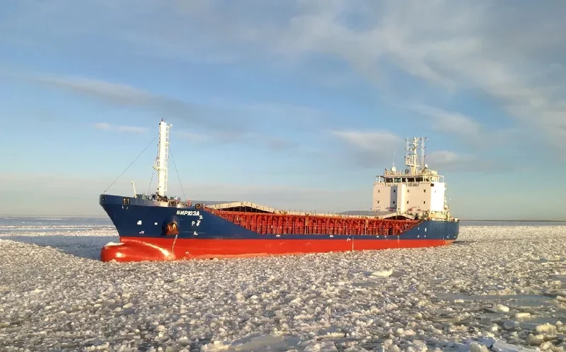 BIRYUZA General Cargo IMO 9549621 photo 2