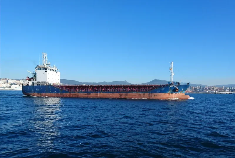BIRYUZA General Cargo IMO 9549621 photo 8