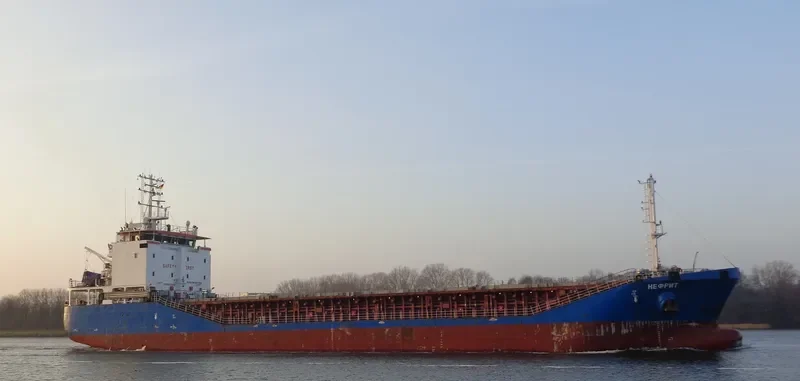 NEPHRITE General Cargo IMO 9549657 photo 4