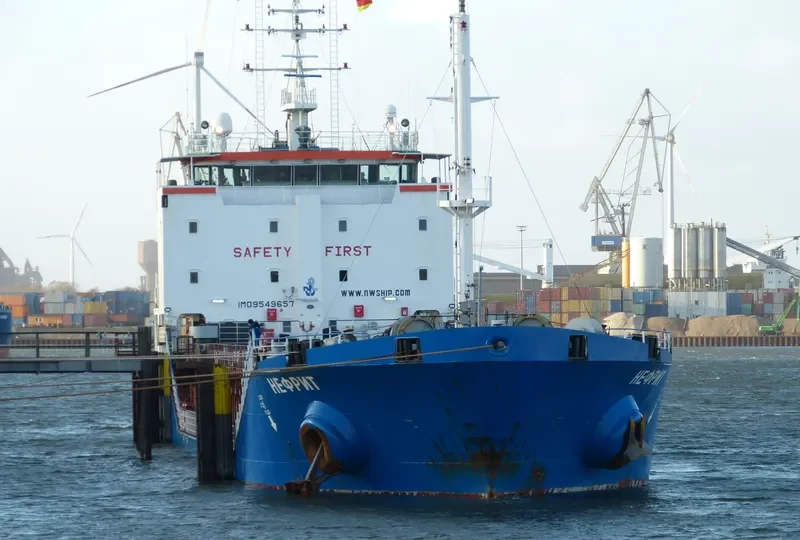 NEPHRITE General Cargo IMO 9549657 photo 7