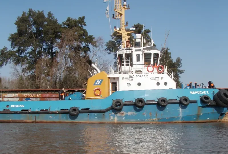 MAPUCHE I General Cargo IMO 9549815 photo 6