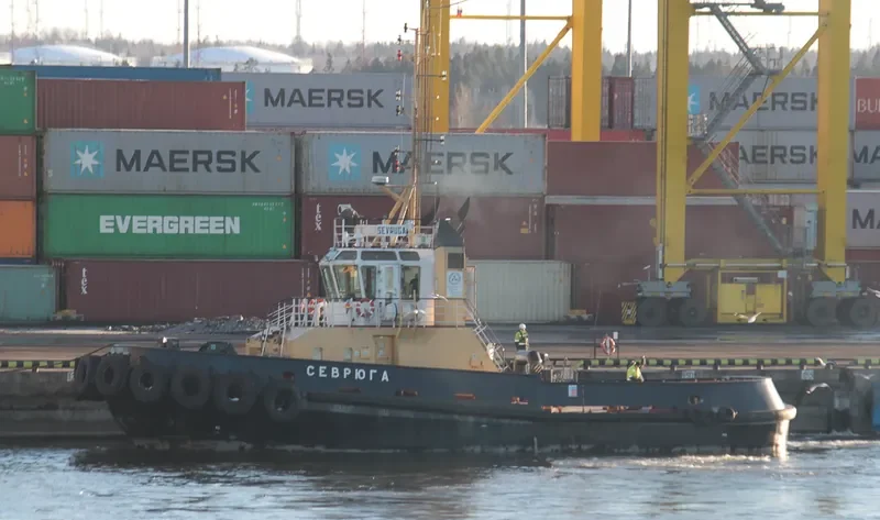 SEVRUGA General Cargo IMO 9549982