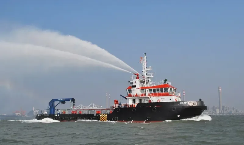 I.N.W.3 Multi-Purpose Vessel IMO 9550008 photo 2